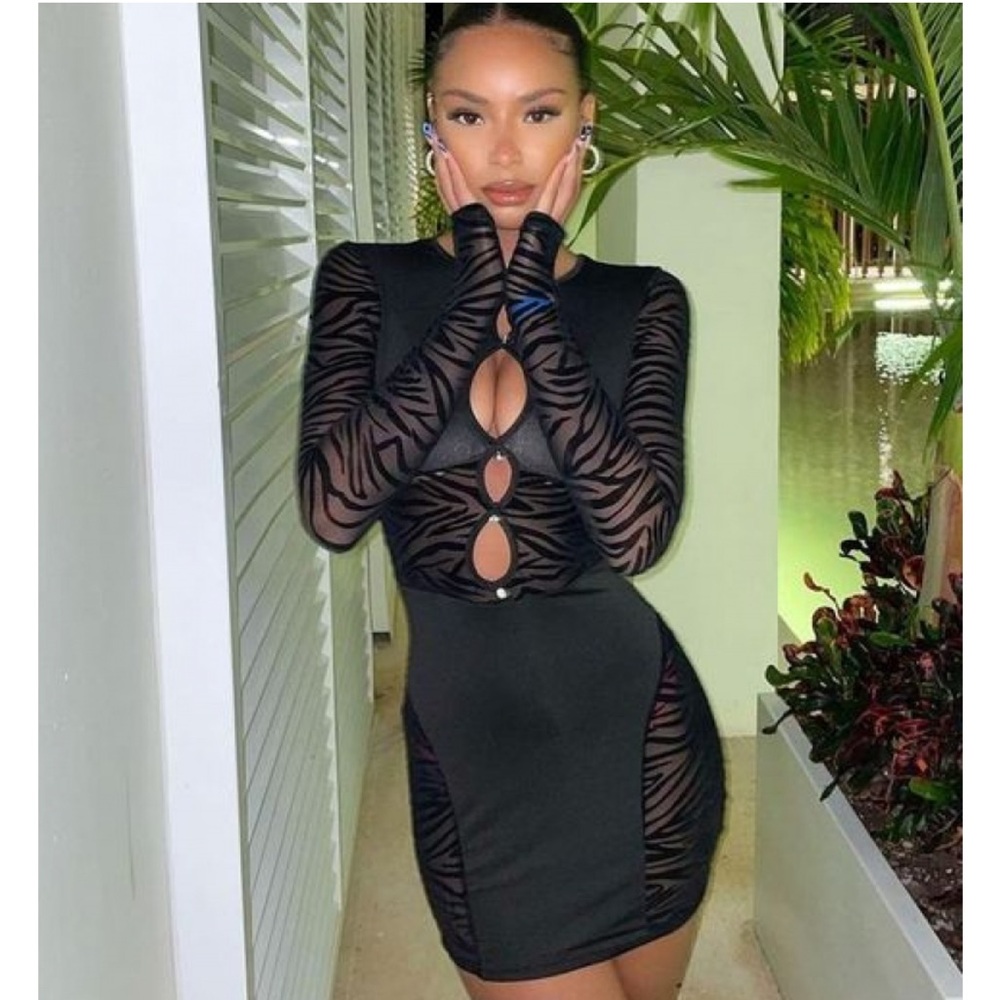 Black Sheer Zebra Print Cutout Dress